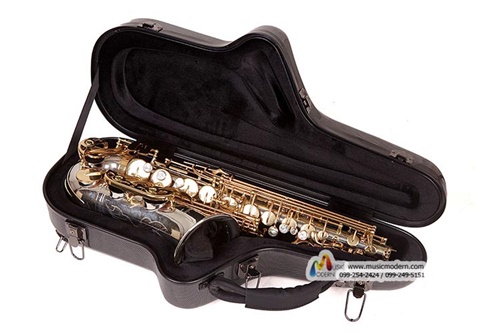 Omebaige SMART-ASC (Tapla) Alto saxophone case