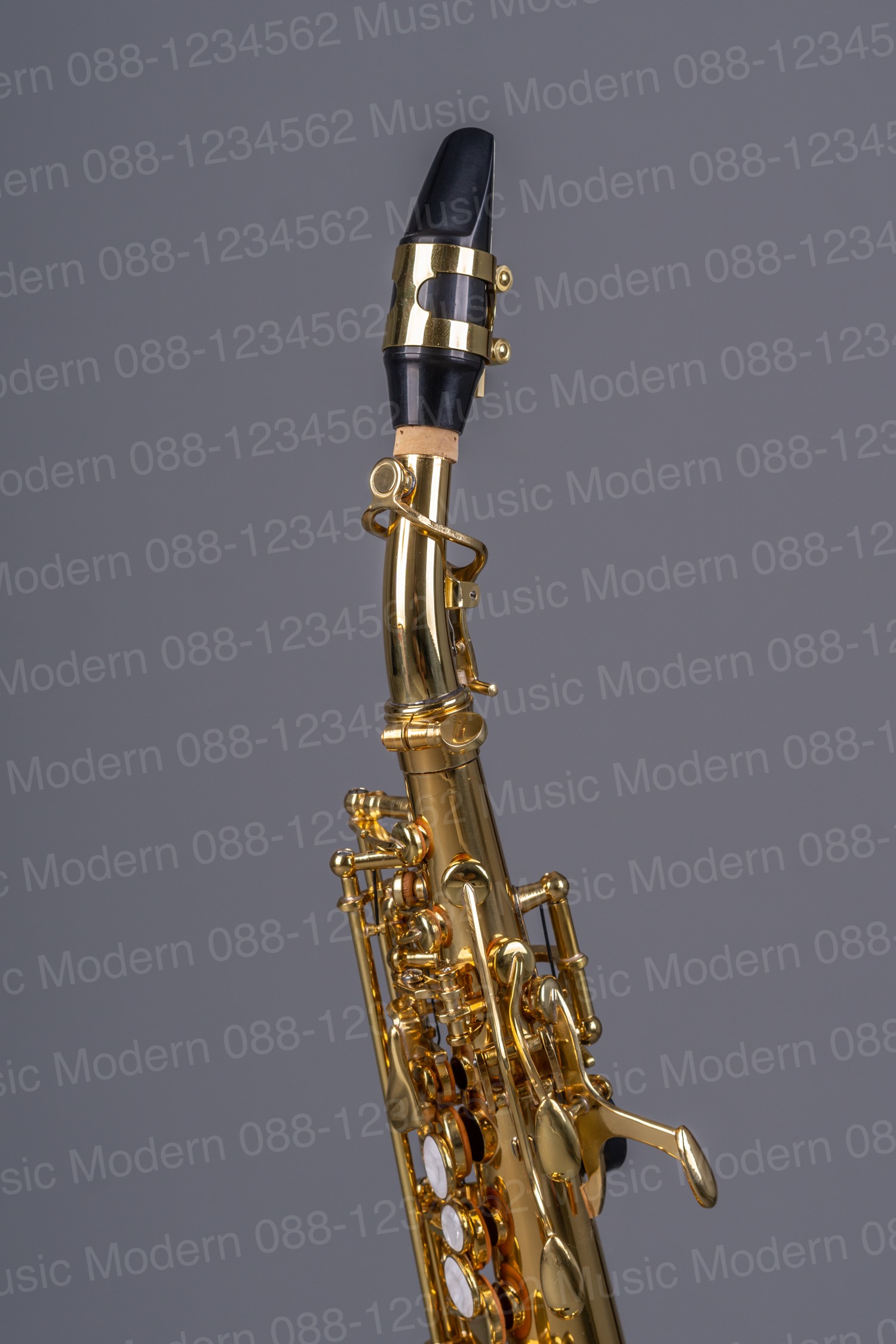 saxtion saxophone แซกโซโฟน ยี่ห้อ แซกชั่น