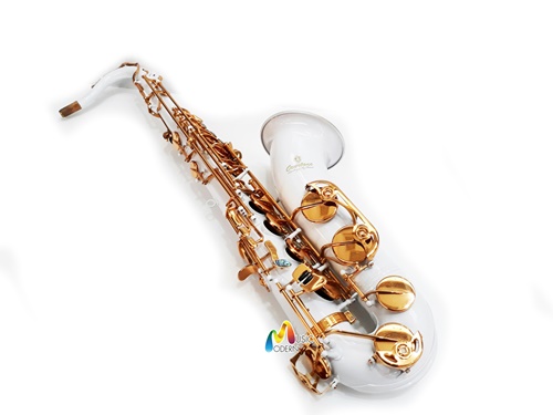 Overtone Tenor Saxophone รุ่น  SNOW เทเนอร์แซกโซโฟน ยี่ห้อ โอเว่อร์โทน รุ่น  SNOW