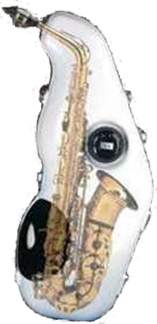 Alto Saxophone inside Vibes Sax Partner VAS-2